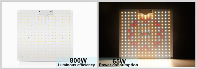 Full Spectrum Dimmable 800watt-64000Lm-PPFD 908 umol-Led Panel για Ανάπτυξη Φυτων-230volt