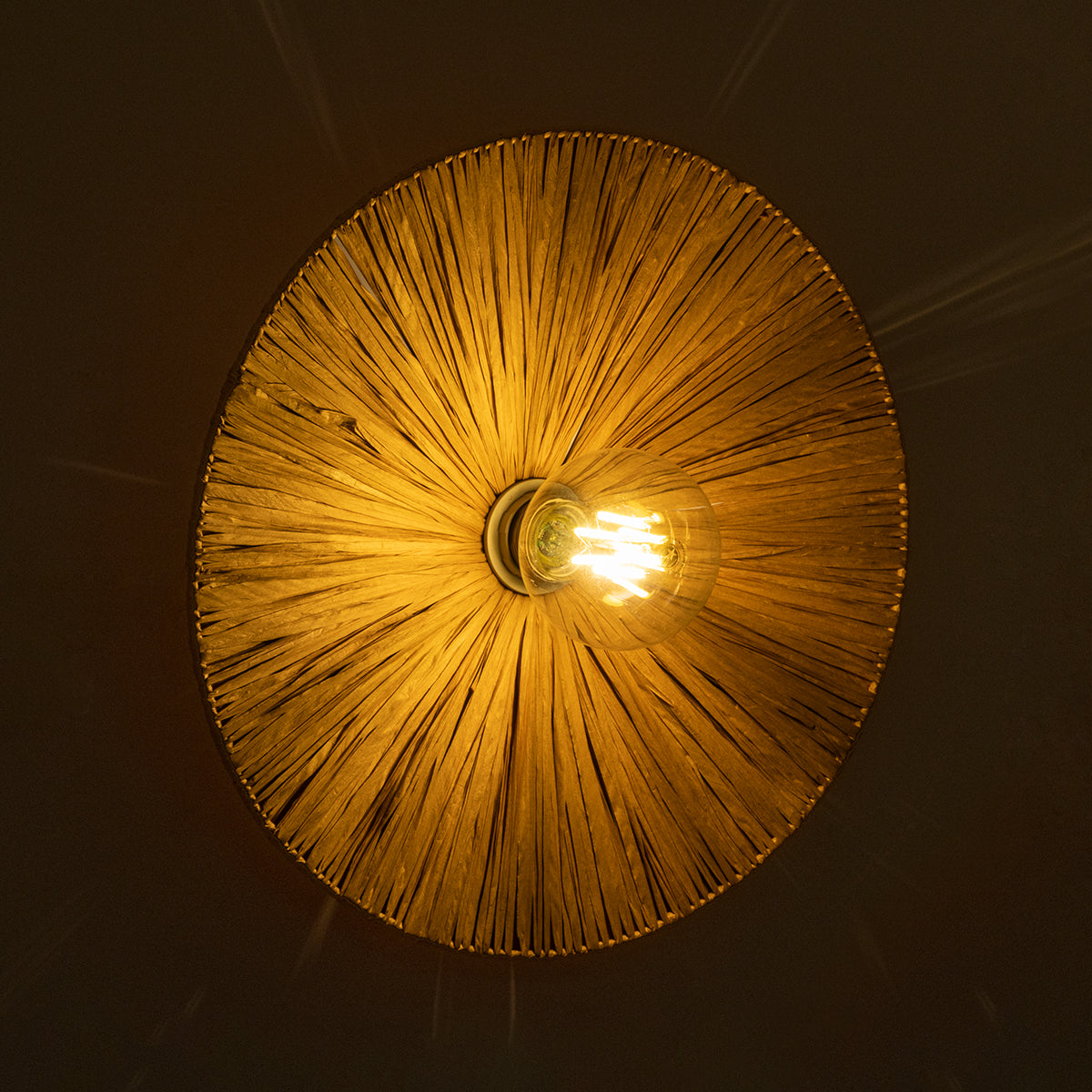 GloboStar® COLOMBO 02283 Boho Φωτιστικό Τοίχου - Απλίκα Μονόφωτο 1 x E27 AC 220-240V IP20 - Φ40 x Υ9cm - Μπεζ Καφέ Φυσική Ράφια Άχυρο Πλέγμα - ledmania.gr