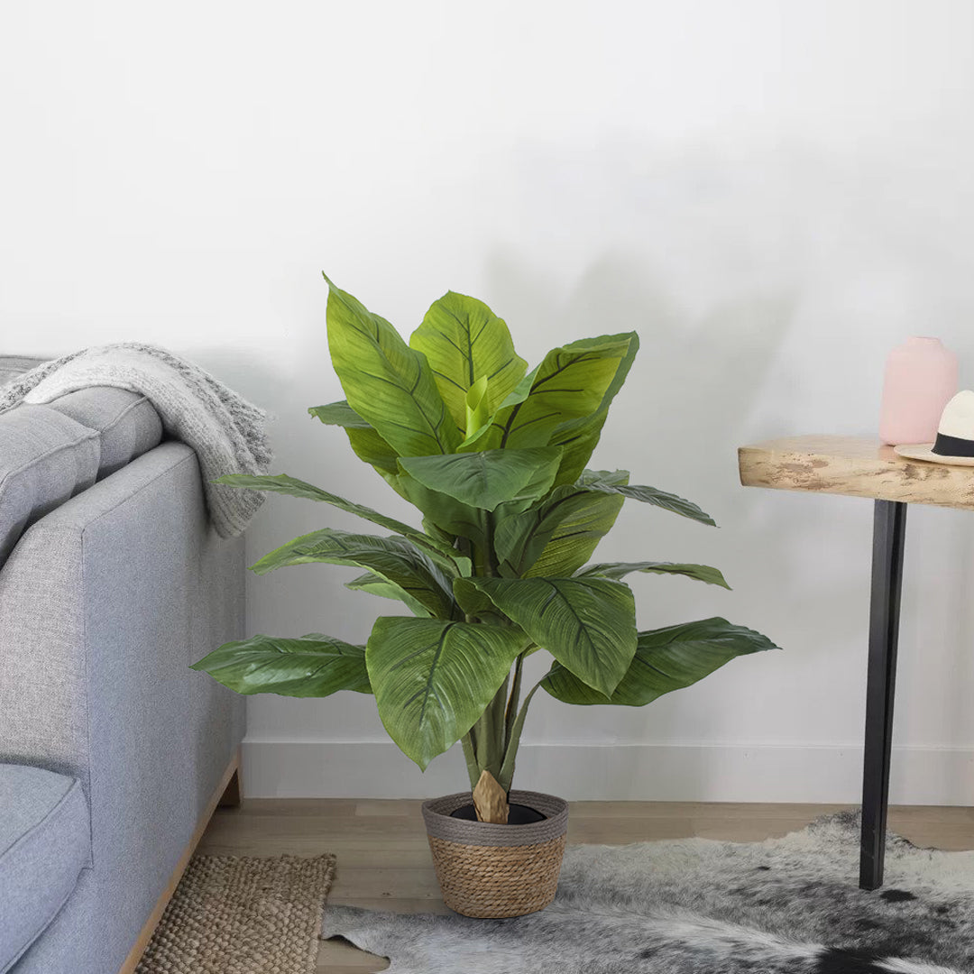 GloboStar® Artificial Garden ROHDEA JAPONICA 20068 Τεχνητό Διακοσμητικό Φυτό Ιαπωνέζικη Ροδέα Υ80cm - ledmania.gr