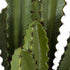 GloboStar® Artificial Garden CEREUS JAMACARU CACTUS 20099 Τεχνητό Διακοσμητικό Φυτό Κάκτος Κηρίος Υ66cm - ledmania.gr
