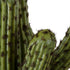 GloboStar® Artificial Garden CARNEGIEA CACTUS 20100 Τεχνητό Διακοσμητικό Φυτό Κάκτος Σαγκουάρο Υ63cm - ledmania.gr