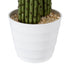 GloboStar® Artificial Garden CARNEGIEA CACTUS 20100 Τεχνητό Διακοσμητικό Φυτό Κάκτος Σαγκουάρο Υ63cm - ledmania.gr