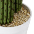 GloboStar® Artificial Garden CARNEGIEA CACTUS 20100 Τεχνητό Διακοσμητικό Φυτό Κάκτος Σαγκουάρο Υ63cm - ledmania.gr