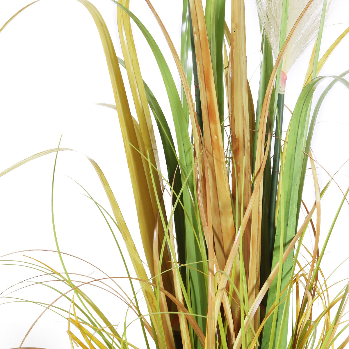 GloboStar® Artificial Garden PAMPAS GRASS 20105 Τεχνητό Διακοσμητικό Φυτό Γρασίδι της Πάμπας Υ150cm - ledmania.gr