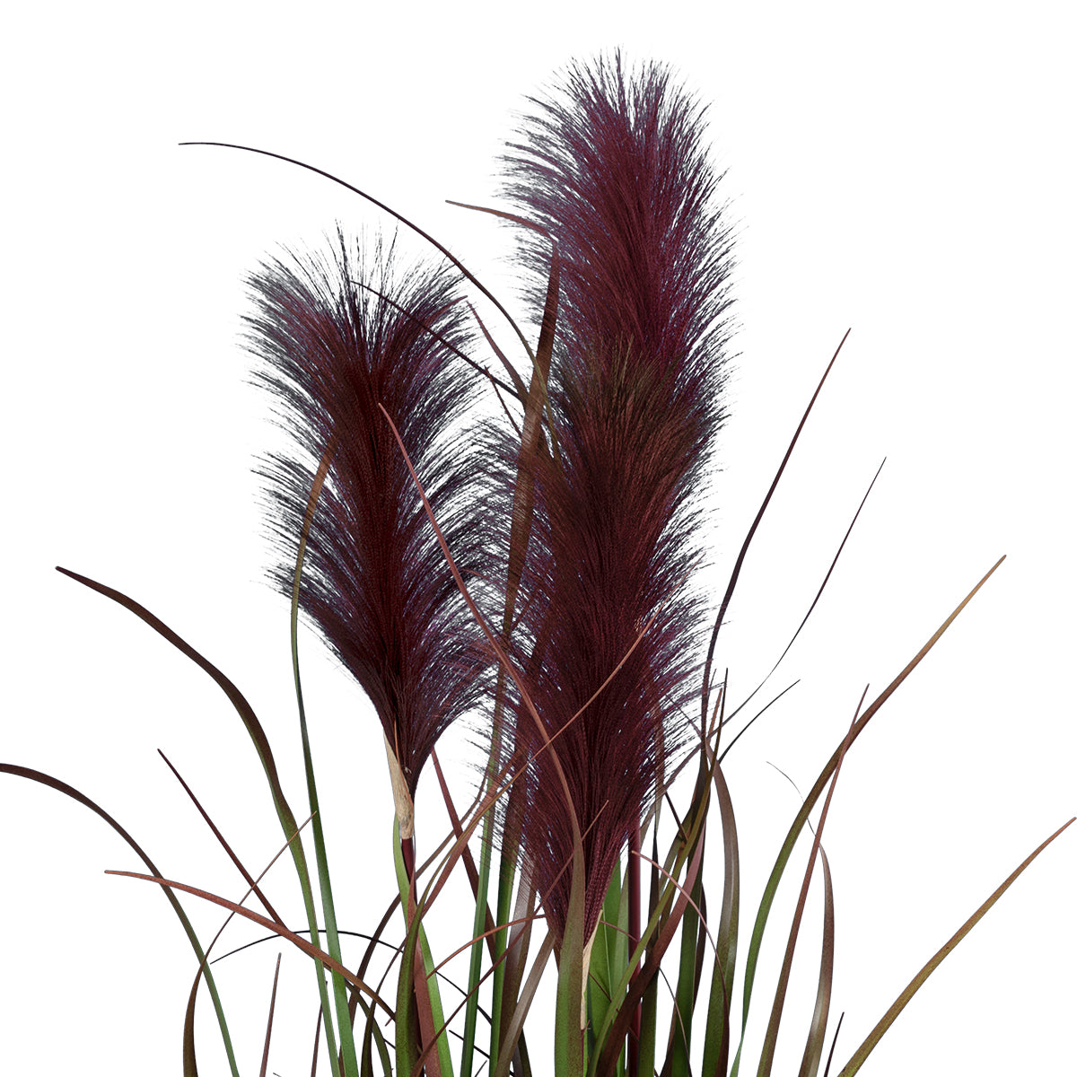 GloboStar® Artificial Garden BLOODY PAMPAS GRASS 20109 Τεχνητό Διακοσμητικό Φυτό Αιματόφυλλο Γρασίδι της Πάμπας Υ85cm