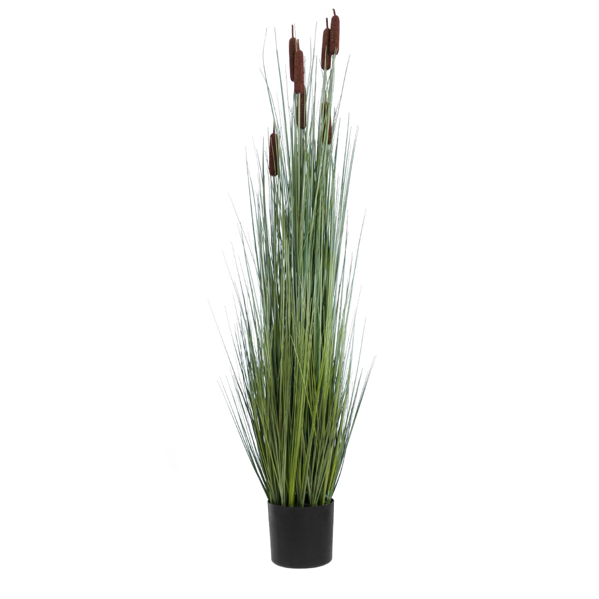 GloboStar® Artificial Garden TYPHA ANGUSTIFOLIA GRASS 20113 Τεχνητό Διακοσμητικό Φυτό Γρασίδι της Τύφας Υ150cm - ledmania.gr
