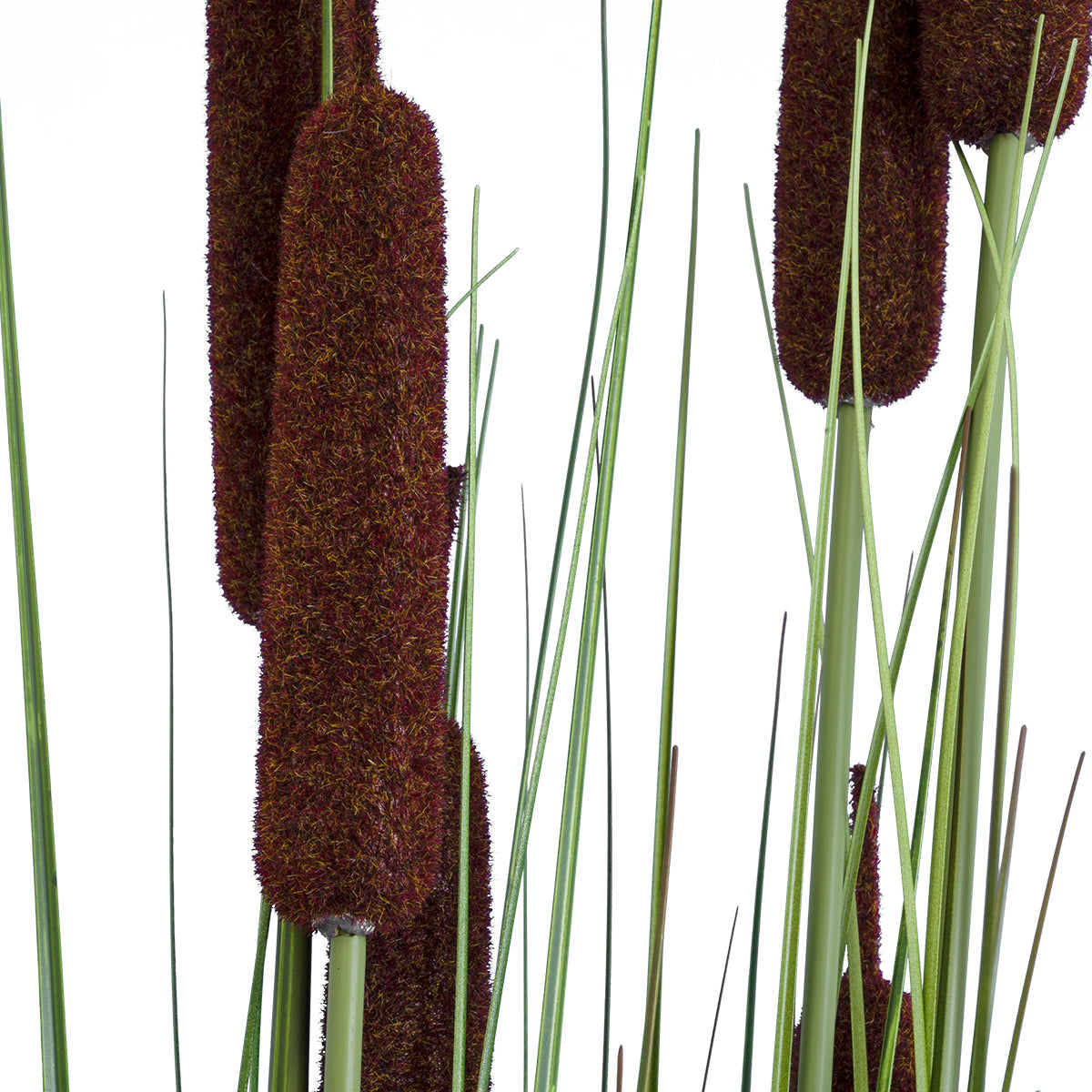 GloboStar® Artificial Garden TYPHA ANGUSTIFOLIA GRASS 20113 Τεχνητό Διακοσμητικό Φυτό Γρασίδι της Τύφας Υ150cm - ledmania.gr