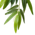 GloboStar® Artificial Garden BAMBOO BRANCH 20228 10 x Τεχνητά Διακοσμητικά Κλαδία Μπαμπού Π50 x Υ60cm - ledmania.gr