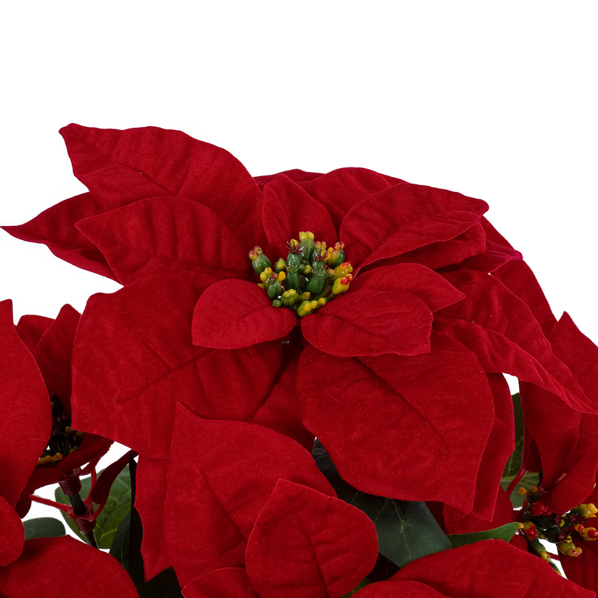 GloboStar® Artificial Garden CHRISTMASS FLOWER EUPHORBIA 20365 Τεχνητό Διακοσμητικό Χριστουγεννιάτικο Λουλούδι Αλεξανδρινό Υ49cm