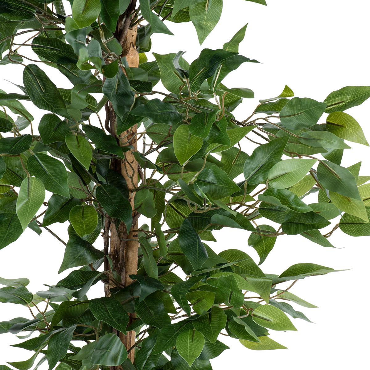 GloboStar® Artificial Garden FICUS BENJAMINA TREE 20416 Τεχνητό Διακοσμητικό Φυτό Φίκος Μπενζαμίνη Υ180cm