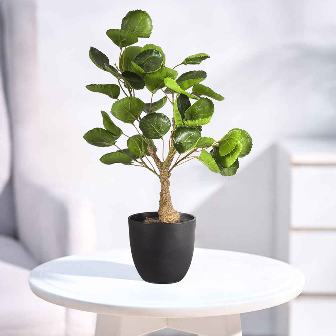 GloboStar® Artificial Garden POLYSCIAS SCUTELLARIA TREE 20424 Τεχνητό Διακοσμητικό Φυτό Πολυσκιά Υ50cm