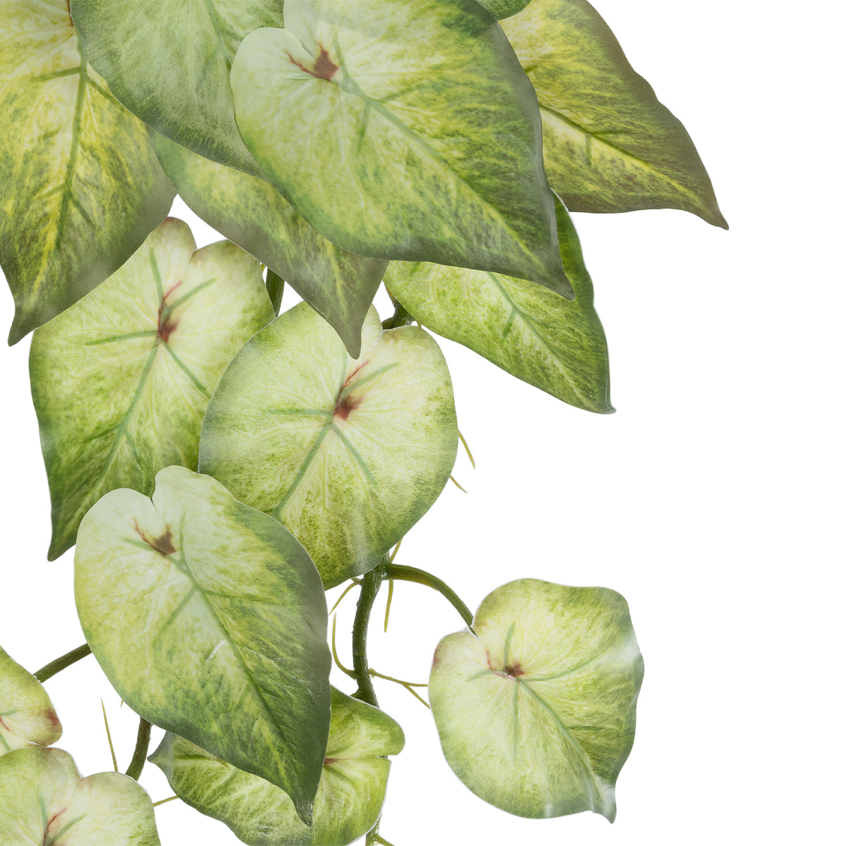 GloboStar® Artificial Garden SYNGONIUM HANGING PLANT 20598 Τεχνητό Διακοσμητικό Κρεμαστό Φυτό Συγκόνιο Υ50cm - ledmania.gr