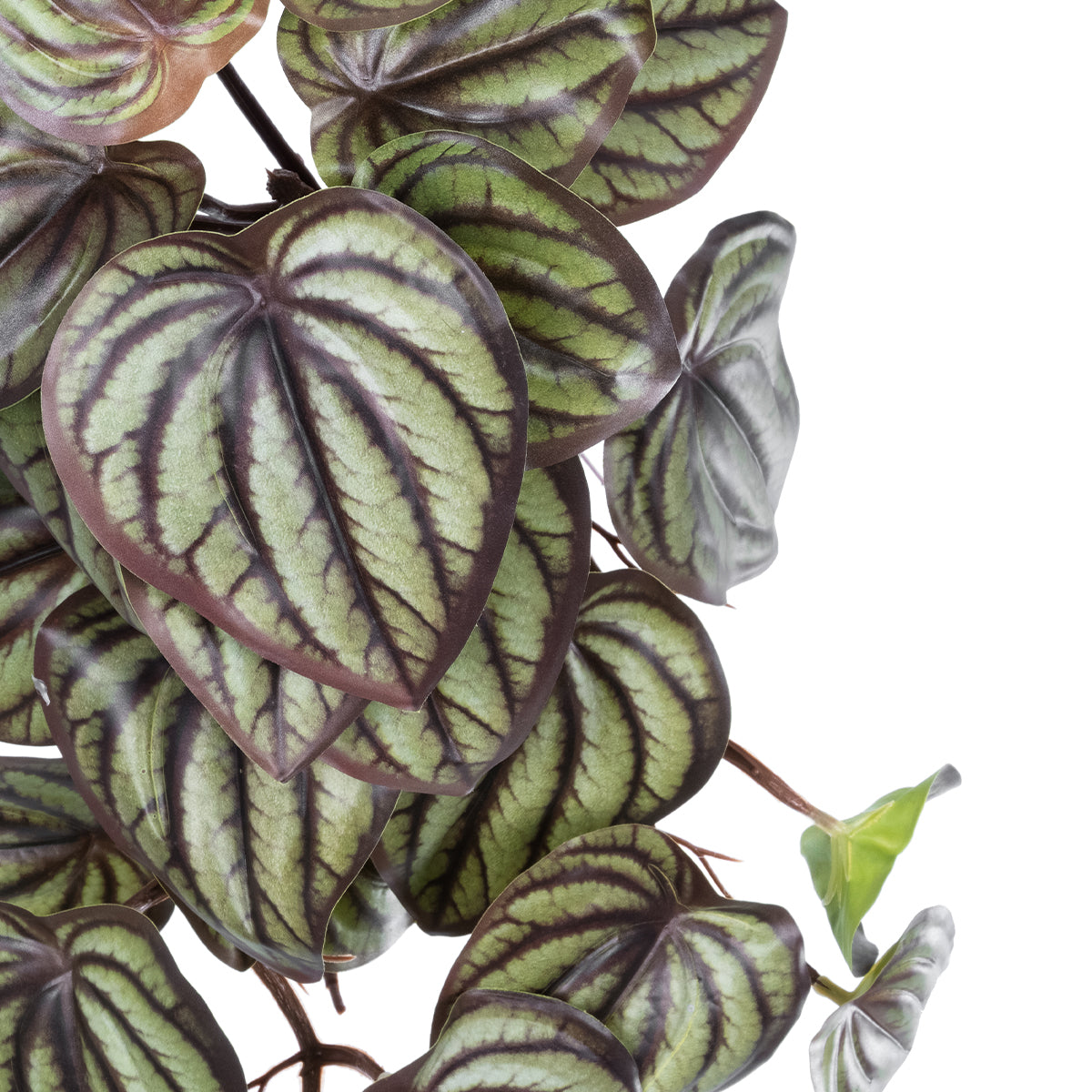 GloboStar® Artificial Garden PEPEROMIA HANGING PLANT 20602 Τεχνητό Διακοσμητικό Κρεμαστό Φυτό Πεπερόμια Υ45cm - ledmania.gr