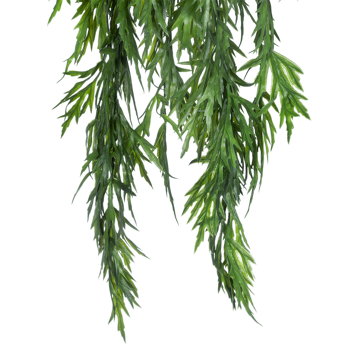 GloboStar® Artificial Garden  CARAWAY HANGING BRANCH 20617 Τεχνητό Κρεμαστό Διακοσμητικό Κρεμαστό κλαδί Κυμινο  Y80cm Σετ 2 τεμαχίων - ledmania.gr
