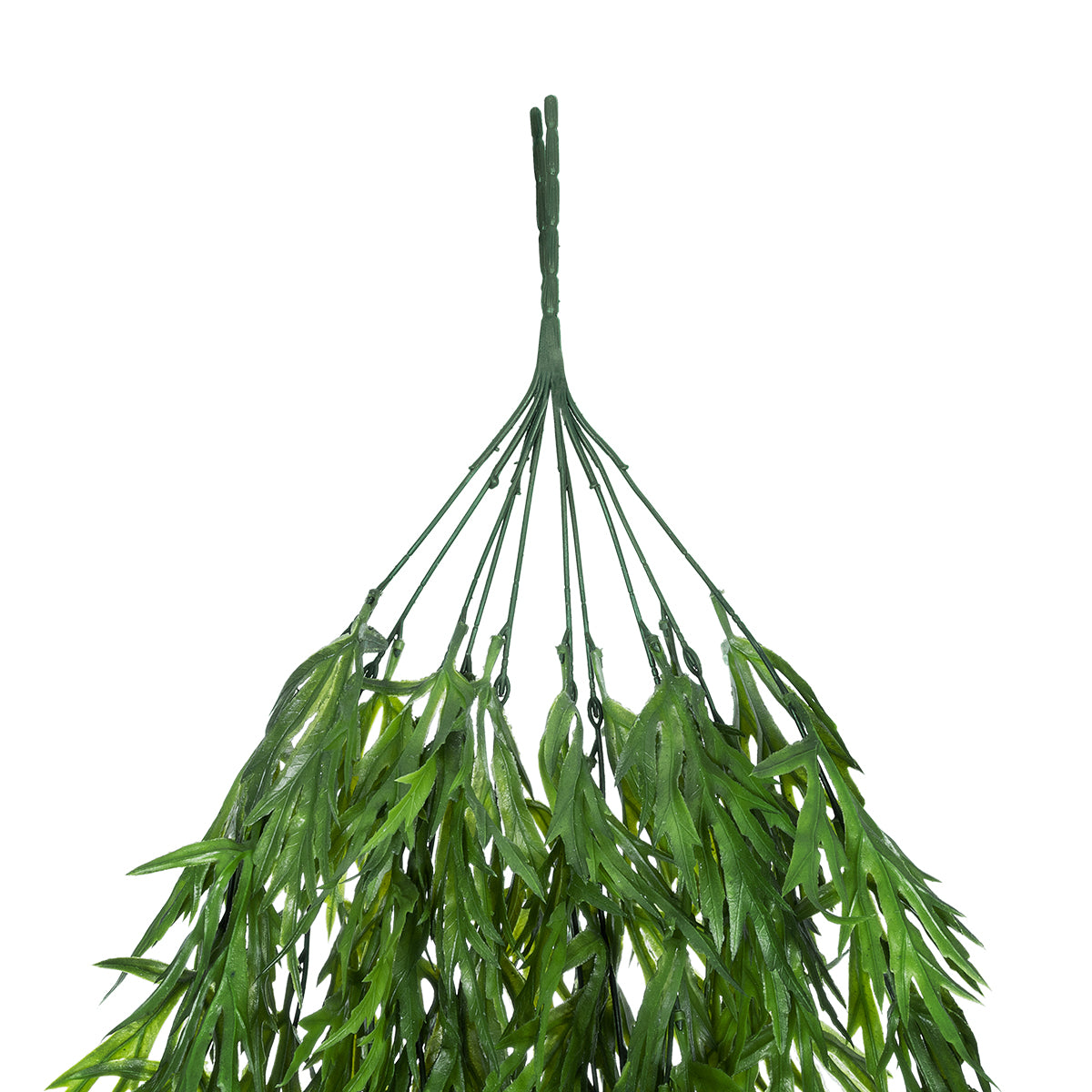 GloboStar® Artificial Garden  CARAWAY HANGING BRANCH 20617 Τεχνητό Κρεμαστό Διακοσμητικό Κρεμαστό κλαδί Κυμινο  Y80cm Σετ 2 τεμαχίων - ledmania.gr