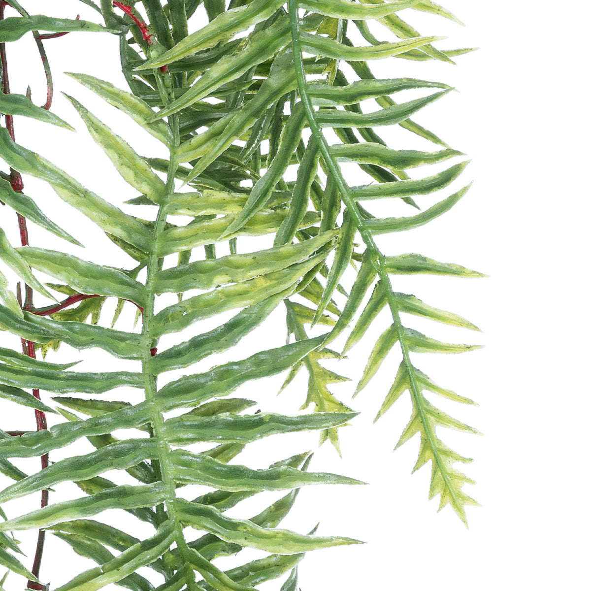 GloboStar® Artificial Garden ASPARAGUS HANGING PLANT 20619 Τεχνητό Διακοσμητικό Κρεμαστό Φυτό Σπαράγγι Υ110cm - ledmania.gr