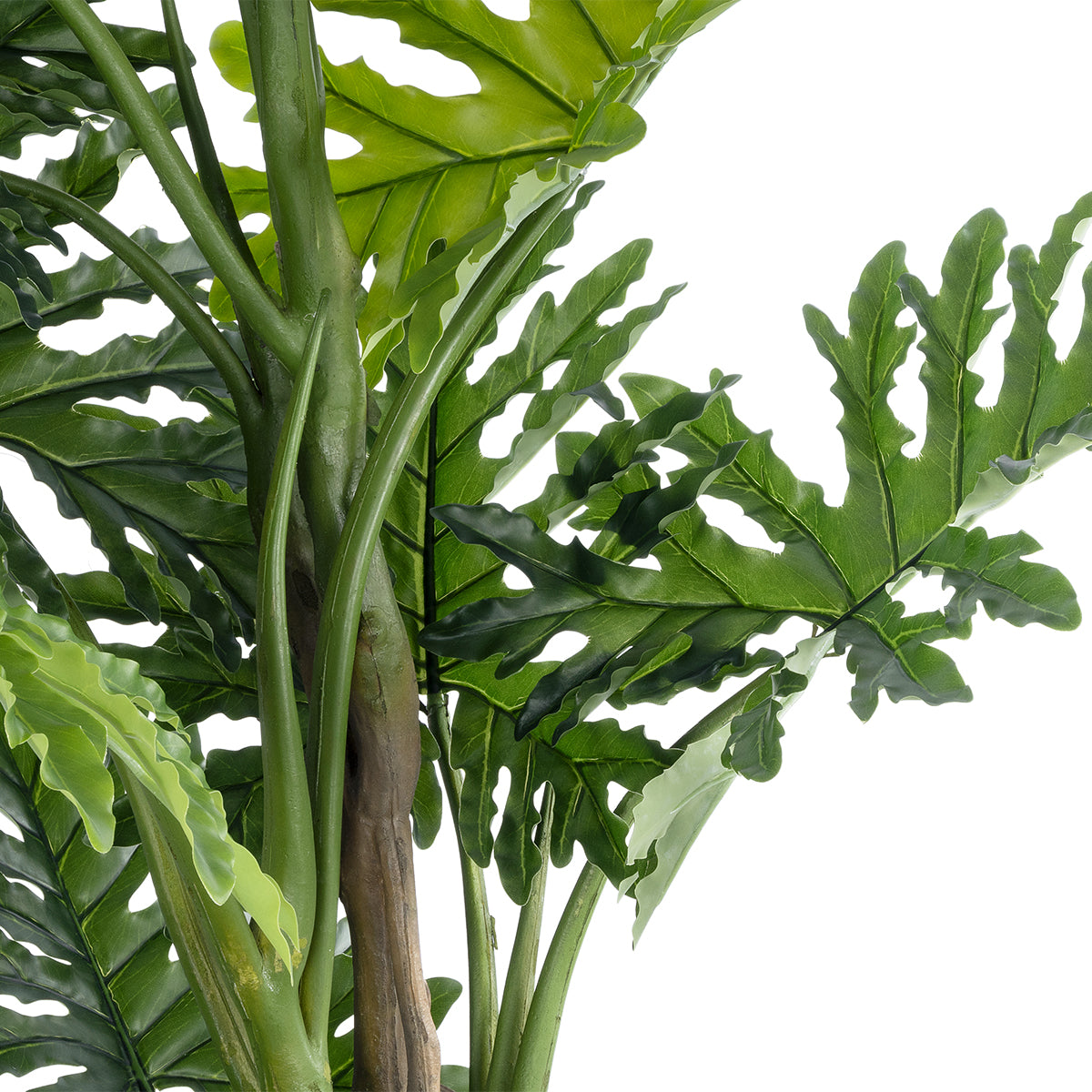 GloboStar® Artificial Garden PHILODENDRON 20684 Τεχνητό Διακοσμητικό Φυτό Φυλλόδενδρο Υ150cm - ledmania.gr