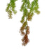 GloboStar® Artificial Garden HANGING CYPRESS 20822 Τεχνητό Διακοσμητικό Κρεμαστό Φυτό Κυπαρίσσι Μ25 x Π15 x Υ80cm