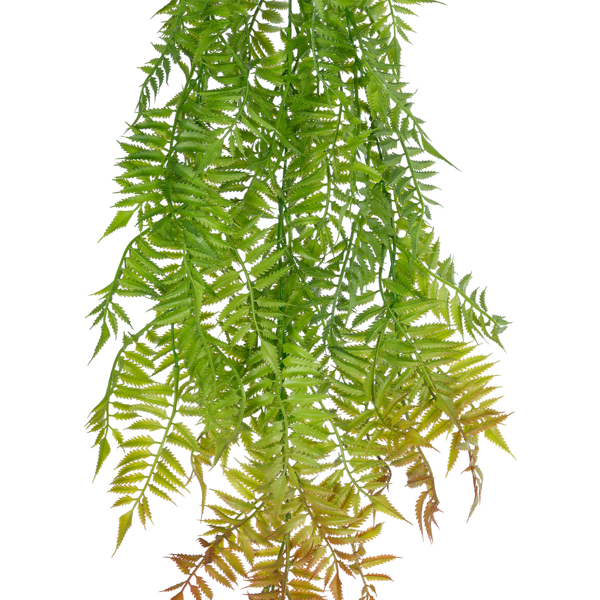 GloboStar® Artificial Garden HANGING FERN 20854 Τεχνητό Διακοσμητικό Κρεμαστό Φυτό Φτέρη Μ30 x Π14 x Υ85cm - ledmania.gr