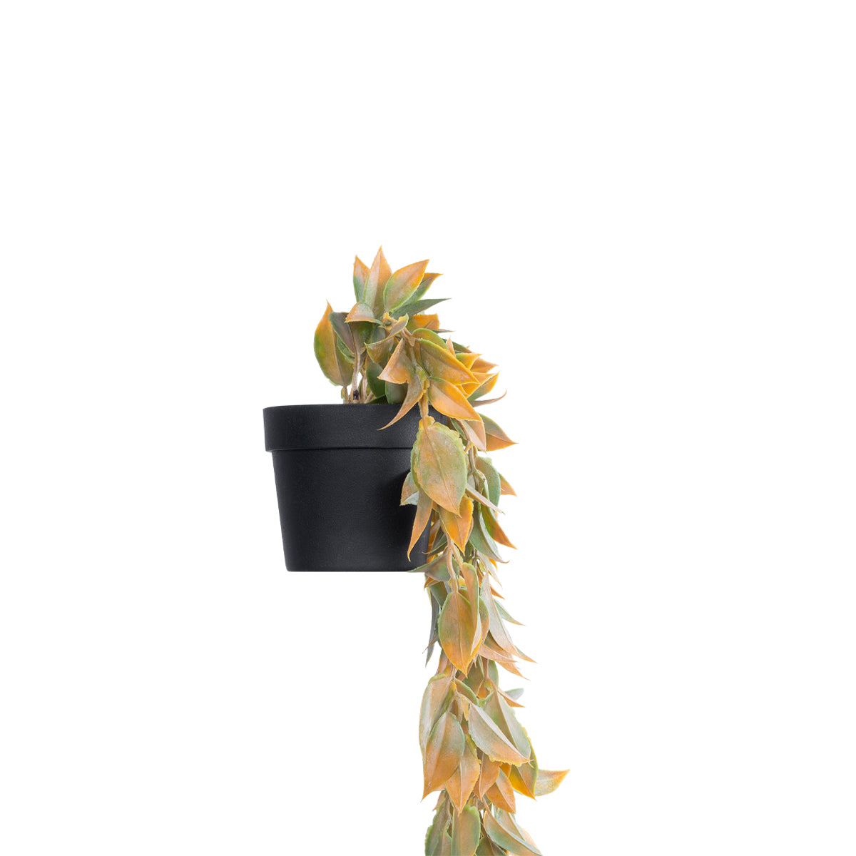 GloboStar® Artificial Garden HANGING POMELO LEAF 20871 - Τεχνητό Κρεμαστό Διακοσμητικό Φυτό Φύλλο Πομέλο  Φ17 x Y50cm - ledmania.gr