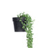 GloboStar® Artificial Garden HANGING LOVER'S TEARS 20882 - Τεχνητό Κρεμαστό Διακοσμητικό Φυτό Lover's Tears Φ15 x Y70cm - ledmania.gr