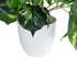 GloboStar® Artificial Garden POTHOS PINEAPPLE 20885 Τεχνητό Διακοσμητικό Φυτό Πόθος Ανανά Φ60 x Υ33cm - ledmania.gr