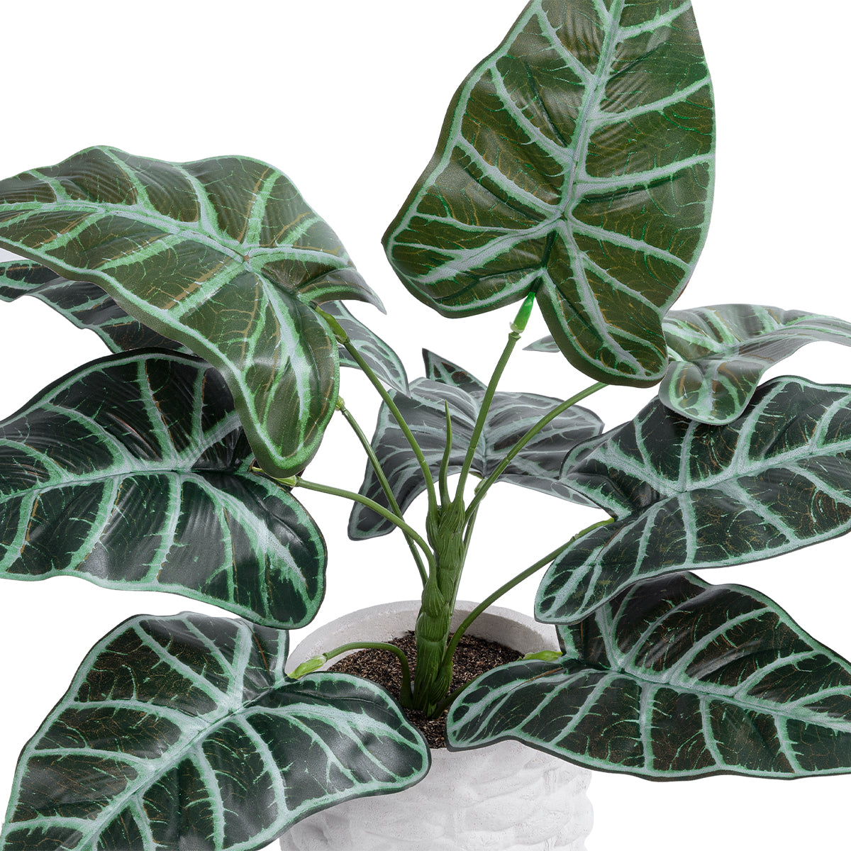 GloboStar® Artificial Garden ALOCASIA 20886 Τεχνητό Διακοσμητικό Φυτό Αλοκασία Φ38 x Υ33cm - ledmania.gr