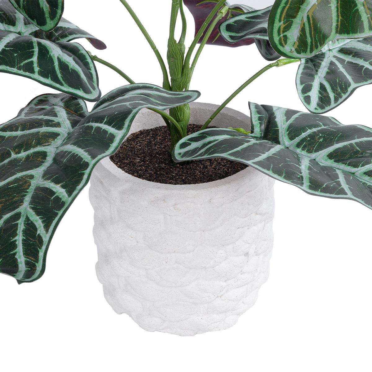 GloboStar® Artificial Garden ALOCASIA 20886 Τεχνητό Διακοσμητικό Φυτό Αλοκασία Φ38 x Υ33cm - ledmania.gr