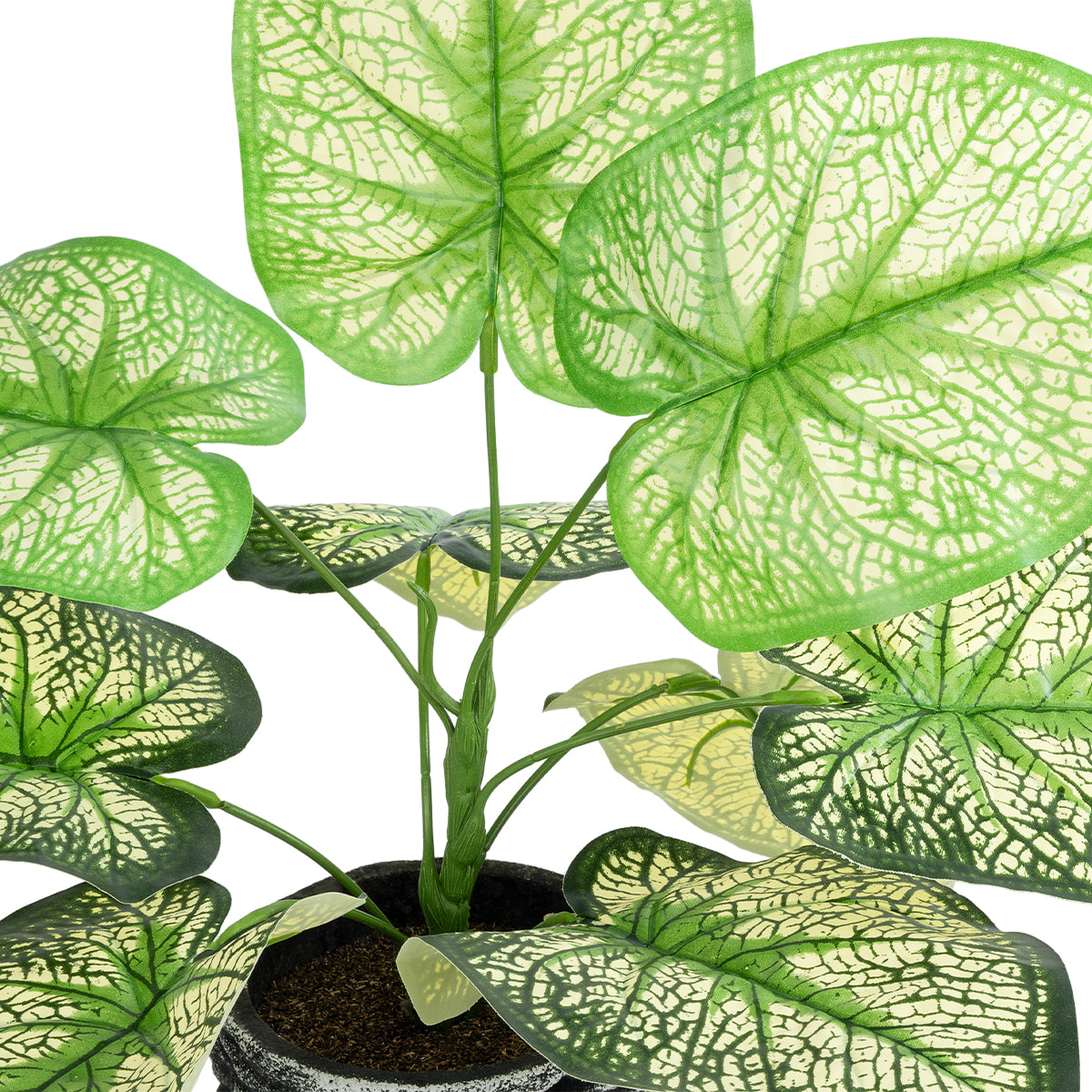 GloboStar® Artificial Garden CALADIUM 20889 Τεχνητό Διακοσμητικό Φυτό Τροπικό Φυτό Φ40 x Υ33cm - ledmania.gr