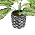GloboStar® Artificial Garden CALADIUM 20889 Τεχνητό Διακοσμητικό Φυτό Τροπικό Φυτό Φ40 x Υ33cm - ledmania.gr