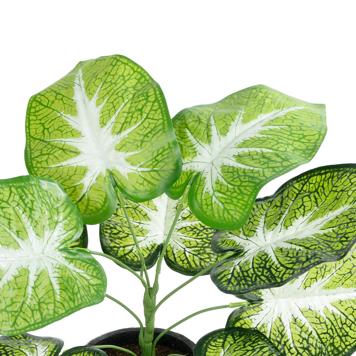 GloboStar® Artificial Garden CALADIUM 20890 Τεχνητό Διακοσμητικό Φυτό Τροπικό Φυτό  Φ40 x Υ33cm - ledmania.gr