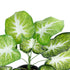 GloboStar® Artificial Garden CALADIUM 20890 Τεχνητό Διακοσμητικό Φυτό Τροπικό Φυτό  Φ40 x Υ33cm - ledmania.gr