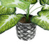 GloboStar® Artificial Garden CALADIUM 20890 Τεχνητό Διακοσμητικό Φυτό Τροπικό Φυτό  Φ40 x Υ33cm - ledmania.gr