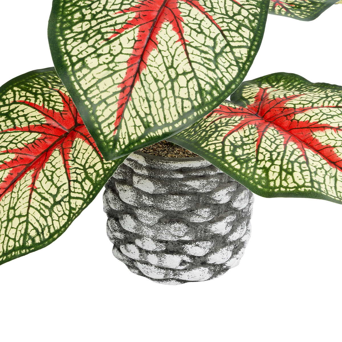 GloboStar® Artificial Garden CALADIUM 20891 Τεχνητό Διακοσμητικό Φυτό Τροπικό Φυτό Φ40 x Υ33cm - ledmania.gr