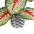GloboStar® Artificial Garden CALADIUM 20891 Τεχνητό Διακοσμητικό Φυτό Τροπικό Φυτό Φ40 x Υ33cm - ledmania.gr