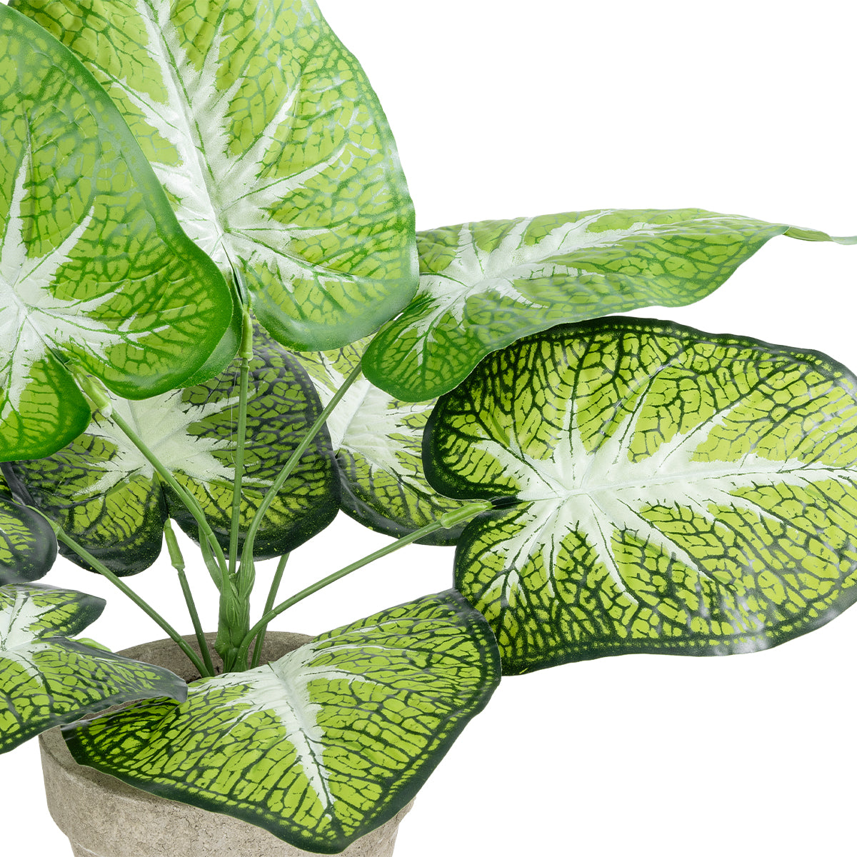 GloboStar® Artificial Garden CALADIUM POTTED PLANT 20894 Διακοσμητικό Φυτό Καλάντιουμ Φ40 x Υ33cm - ledmania.gr