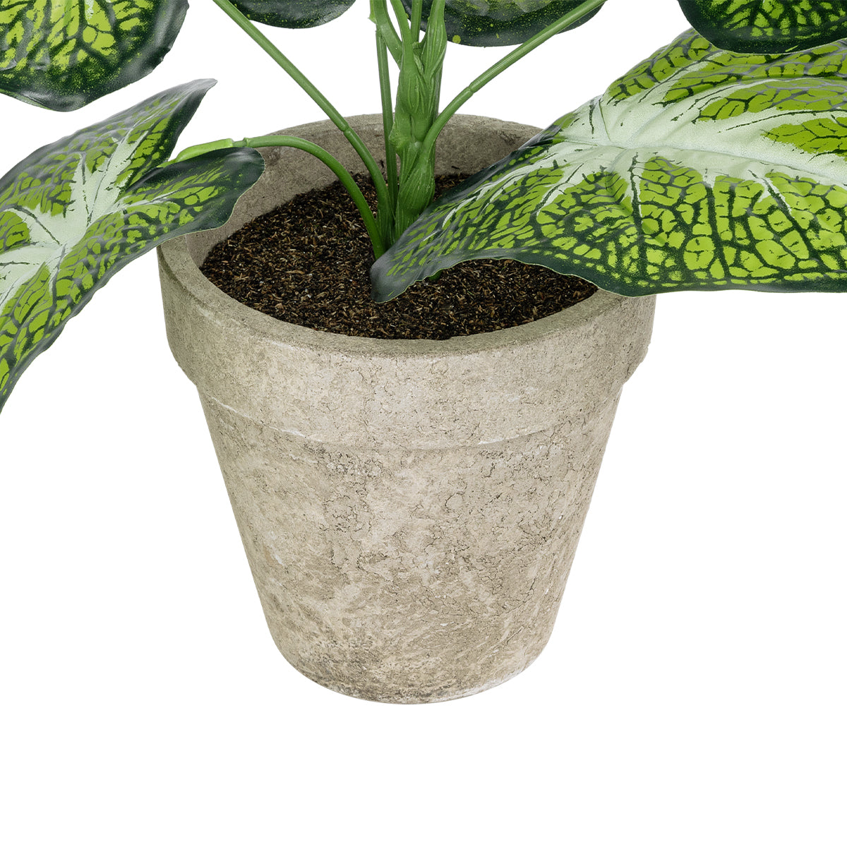 GloboStar® Artificial Garden CALADIUM POTTED PLANT 20894 Διακοσμητικό Φυτό Καλάντιουμ Φ40 x Υ33cm - ledmania.gr