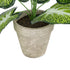 GloboStar® Artificial Garden CALADIUM POTTED PLANT 20894 Διακοσμητικό Φυτό Καλάντιουμ Φ40 x Υ33cm - ledmania.gr