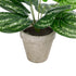 GloboStar® Artificial Garden SILVER POTHOS POTTED PLANT 20896 Διακοσμητικό Φυτό Πόθος Φ40 x Υ33cm - ledmania.gr