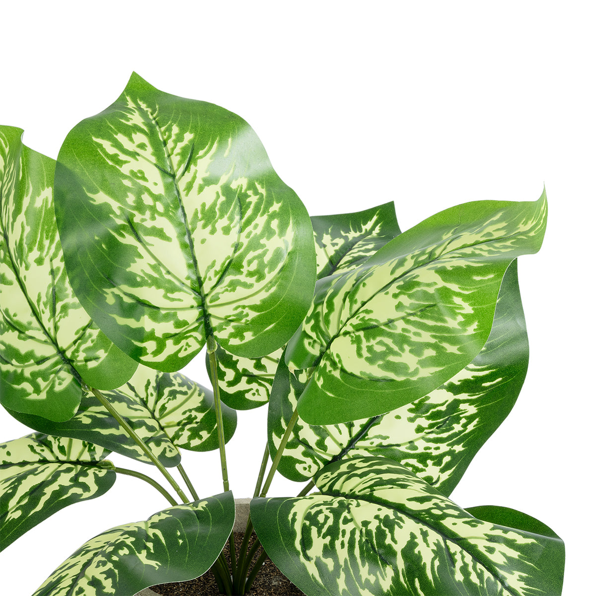 GloboStar® Artificial Garden DIEFFENBACHIA POTTED PLANT 20897 Διακοσμητικό Φυτό Διεφενμπάχια Φ40 x Υ33cm - ledmania.gr