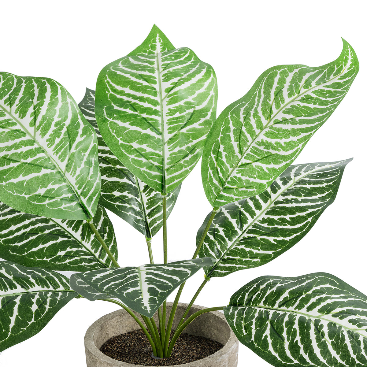 GloboStar® Artificial Garden ZEBRA POTTED PLANT 20898 Διακοσμητικό Φυτό Ζέμπρα Φ40 x Υ33cm - ledmania.gr