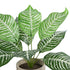 GloboStar® Artificial Garden ZEBRA POTTED PLANT 20898 Διακοσμητικό Φυτό Ζέμπρα Φ40 x Υ33cm - ledmania.gr