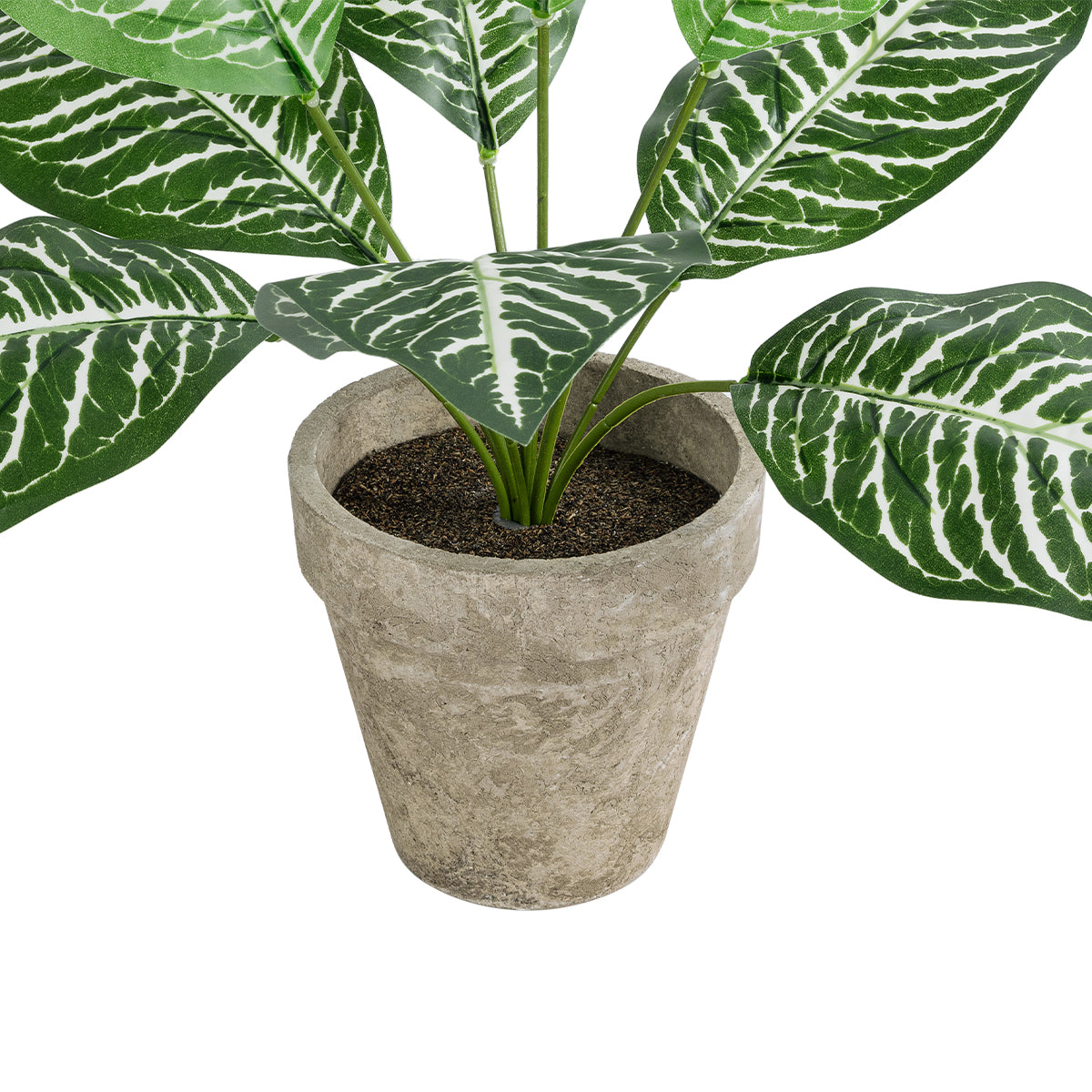 GloboStar® Artificial Garden ZEBRA POTTED PLANT 20898 Διακοσμητικό Φυτό Ζέμπρα Φ40 x Υ33cm - ledmania.gr