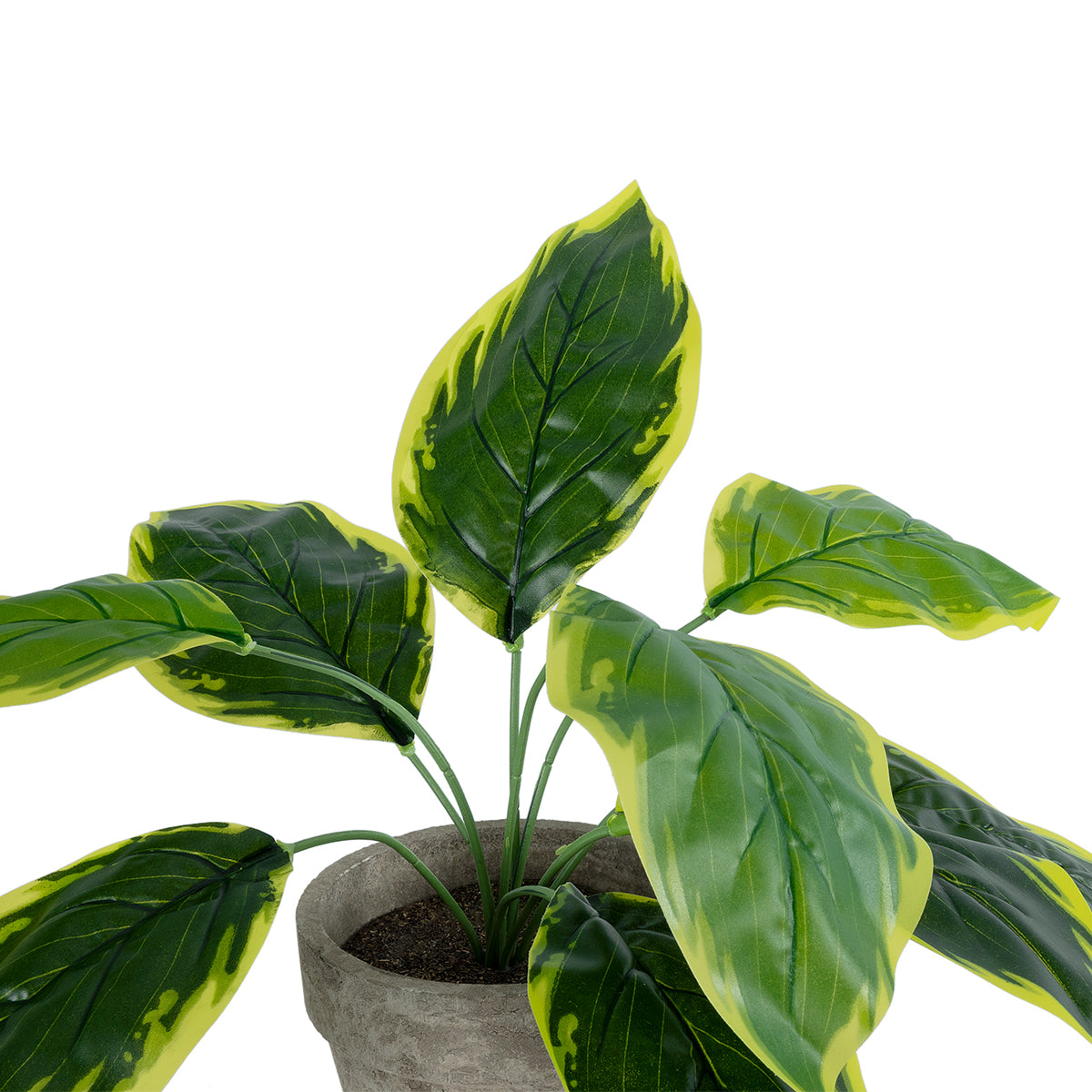 GloboStar® Artificial Garden YELLOW HOSTA 20899 Τεχνητό Διακοσμητικό Φυτό Κίτρινη Χόστα Υ40cm - ledmania.gr