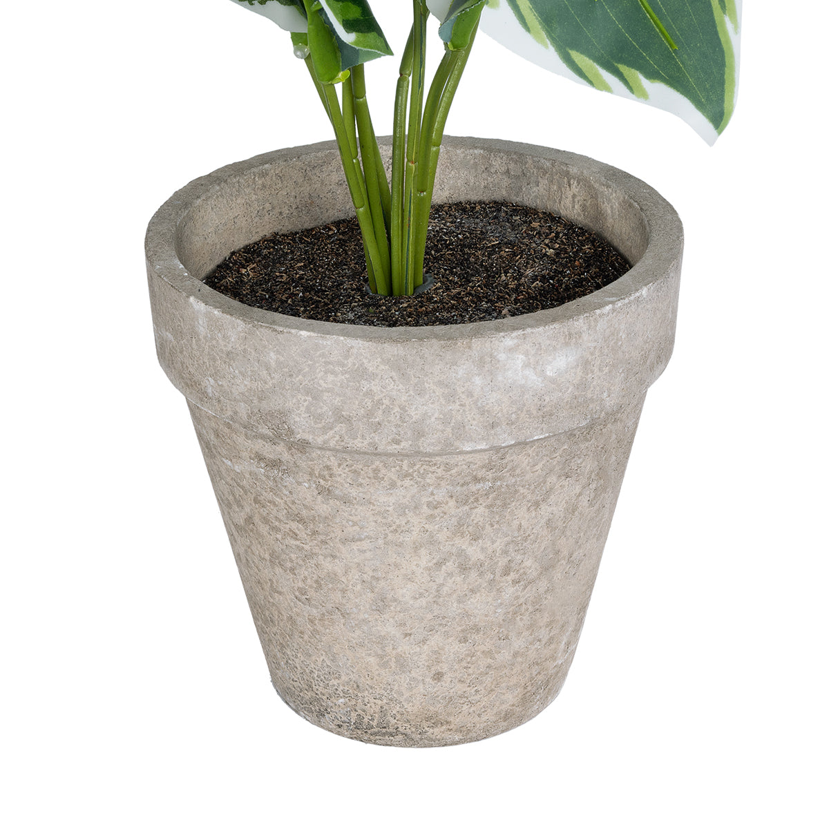 GloboStar® Artificial Garden WHITE HOSTA 20900 Διακοσμητικό Φυτό Λευκή  Χόστα Υ40cm - ledmania.gr