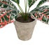 GloboStar® Artificial Garden RED AGLAONEMA POTTED PLANT 20901 Διακοσμητικό Φυτό Κόκκινο Αγλαόνημα Φ40 x Υ33cm - ledmania.gr