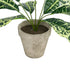 GloboStar® Artificial Garden YELLOW AGLAONEMA POTTED PLANT 20902 Διακοσμητικό Φυτό Κίτρινο Αγλαόνημα Φ40 x Υ33cm - ledmania.gr
