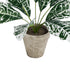GloboStar® Artificial Garden WHITE AGLAONEMA POTTED PLANT 20903 Διακοσμητικό Φυτό Λευκό Αγλαόνημα Φ40 x Υ33cm - ledmania.gr