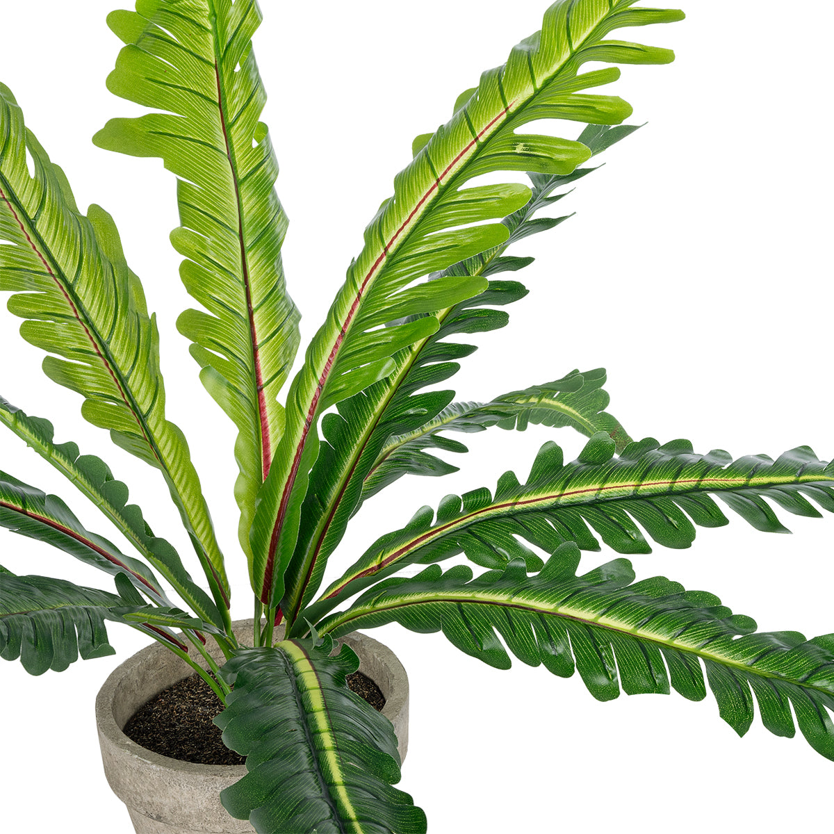 GloboStar® Artificial Garden  ASPLENIUM POTTED PLANT 20904 Διακοσμητικό Φυτό Aslenium Φ40 x Υ33cm - ledmania.gr