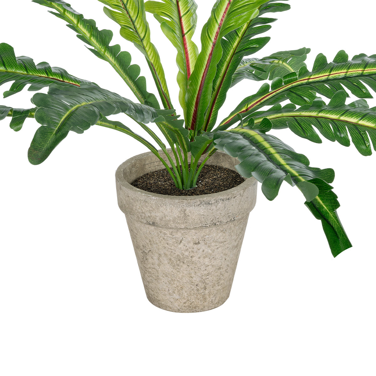 GloboStar® Artificial Garden  ASPLENIUM POTTED PLANT 20904 Διακοσμητικό Φυτό Aslenium Φ40 x Υ33cm - ledmania.gr